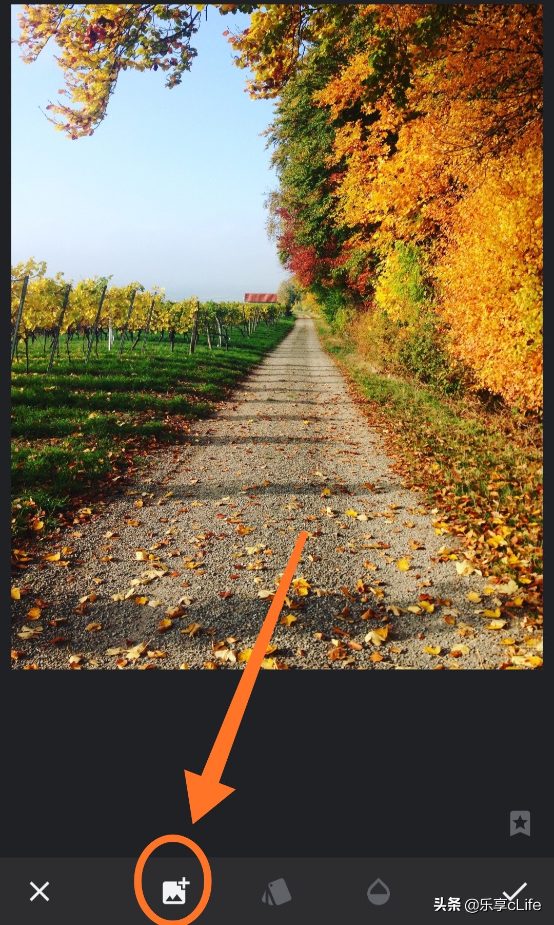 snapseed虚化人物背景,snapseed抠图换背景