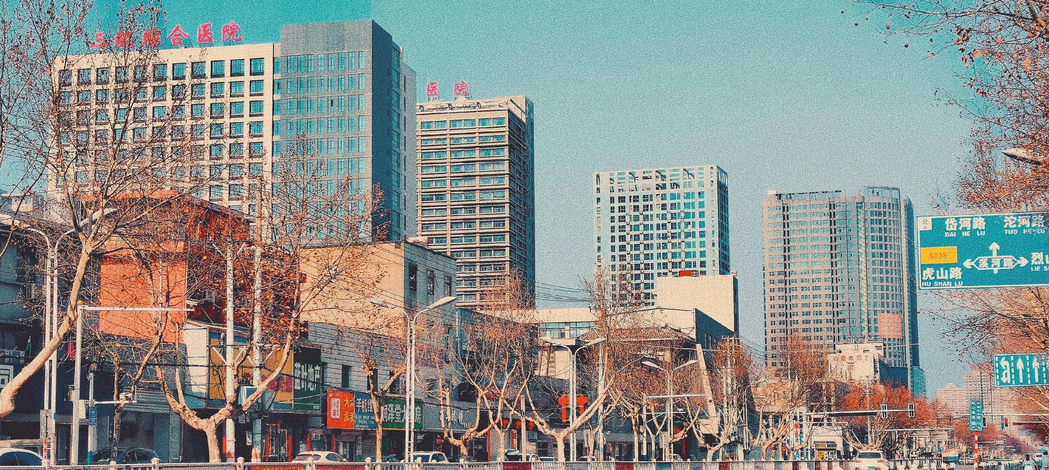 我的家乡濉溪,我和我的家乡美食濉溪