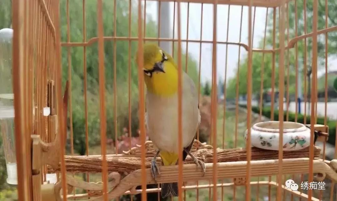 夏季如何防止被虫子叮,防蚊虫叮身上的小妙招