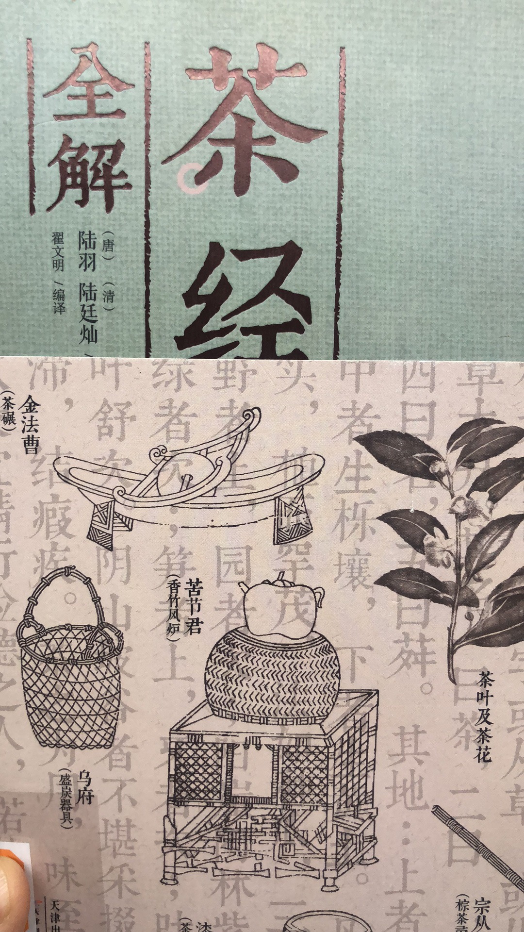 西湖龙井春茶季,龙井茶西湖明前春茶