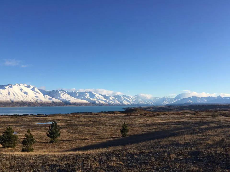 新西兰最有名三文鱼,新西兰帝王鲑三文鱼视频