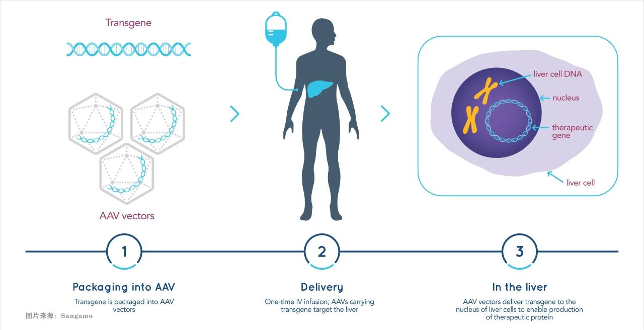 中国基因治疗发展概况,中国基因治疗发展
