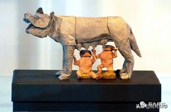 折纸大神的所有折纸,折纸大神教折纸