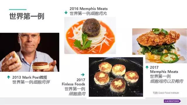 灏忔潕瀛愯幈鏄傜撼澶氬拰濂崇敓浜插惢,灏忔潕瀛愯幈鏄傜撼澶氬拰涓栫晫棣栧瘜