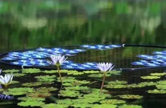 上海站到上海新国际博览中心地铁,上海地铁沿线景点排名