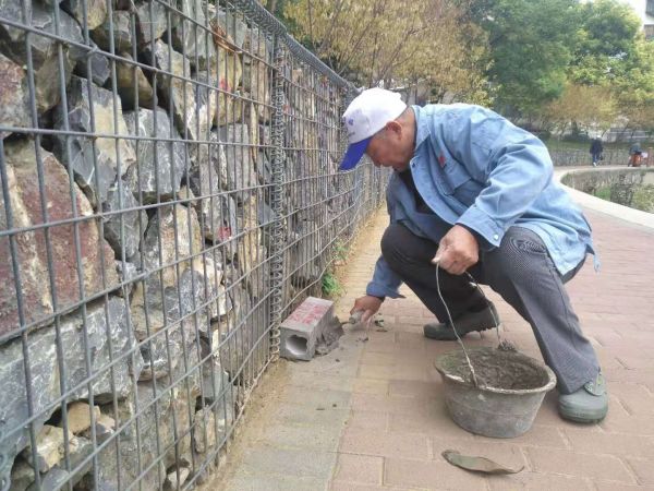 关于在城区统一投放灭鼠药的公告,区河道所加强环境消杀