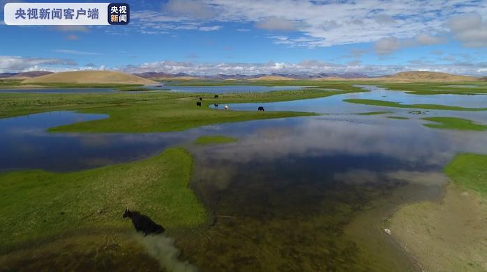 西藏各市人均可支配收入,西藏人均可支配收入排名