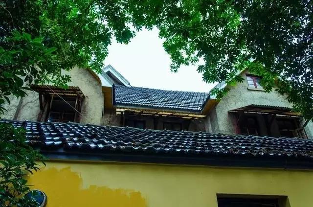 南京的春天,南京的春天视频