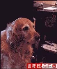 懒人回家需要几步,懒人懒到了极致