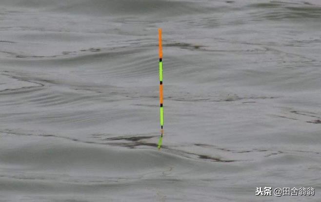 怎么改进浮漂才可以看清漂相,浮漂没动作提竿却中鱼如何调整