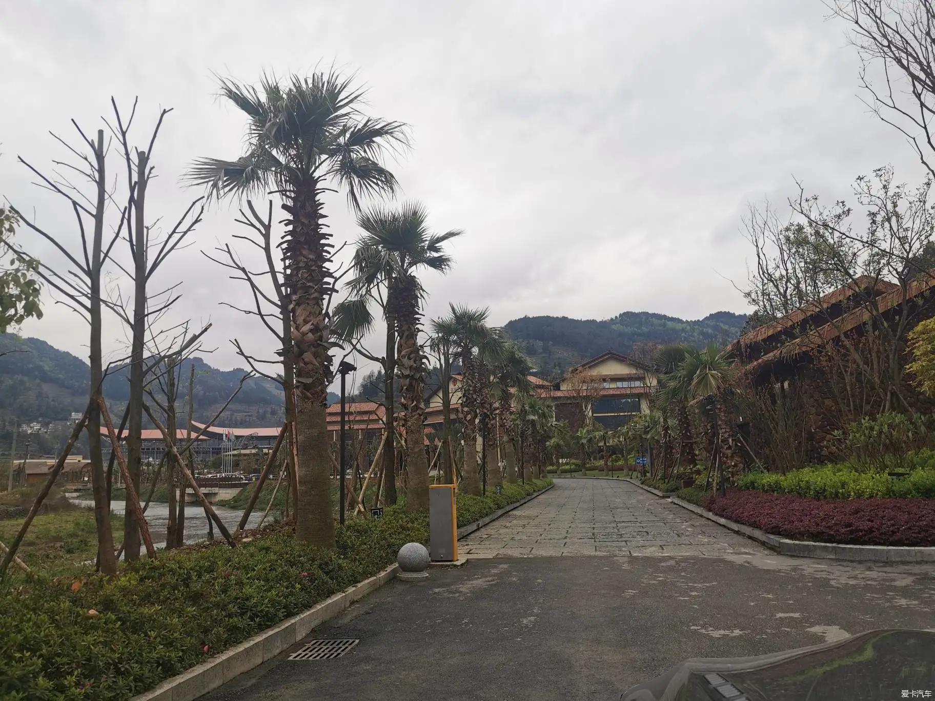 朵芳阁桃源河温泉自助餐,贵州性价比高的旅游攻略