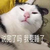 猫咪生产的当天要注意的事项,猫咪生产注意事项