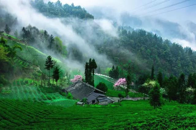 恩施，凭什么持续美哭全国，惊艳世界？