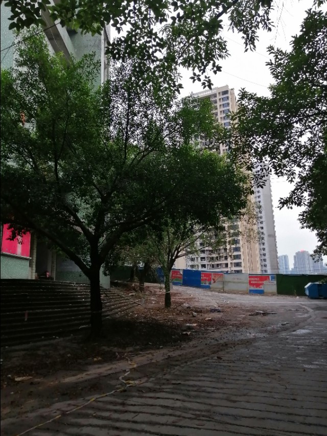 扫街日记100篇,扫街日记视频