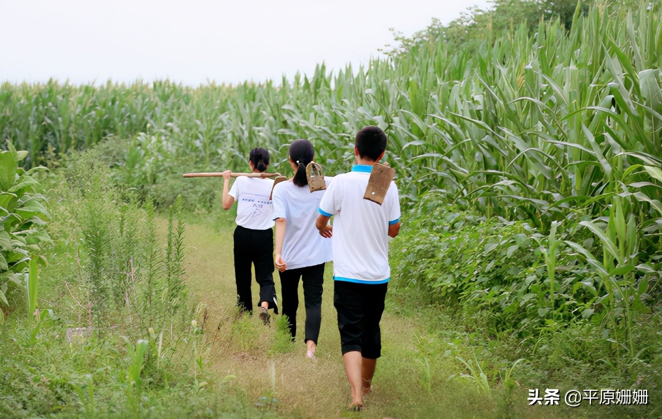 朋友，你对以前农村的庄稼把式，还熟悉多少？