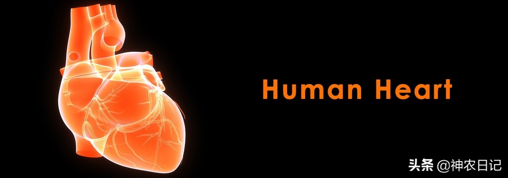 太医把脉时喜脉时说的话,古代中医是如何摸出喜脉