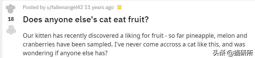 猫为啥爱吃植物,猫爱吃鸡肉还是虾肉