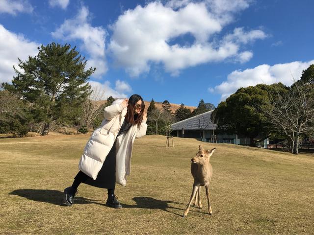 日本大阪城攻略,大阪日本攻略