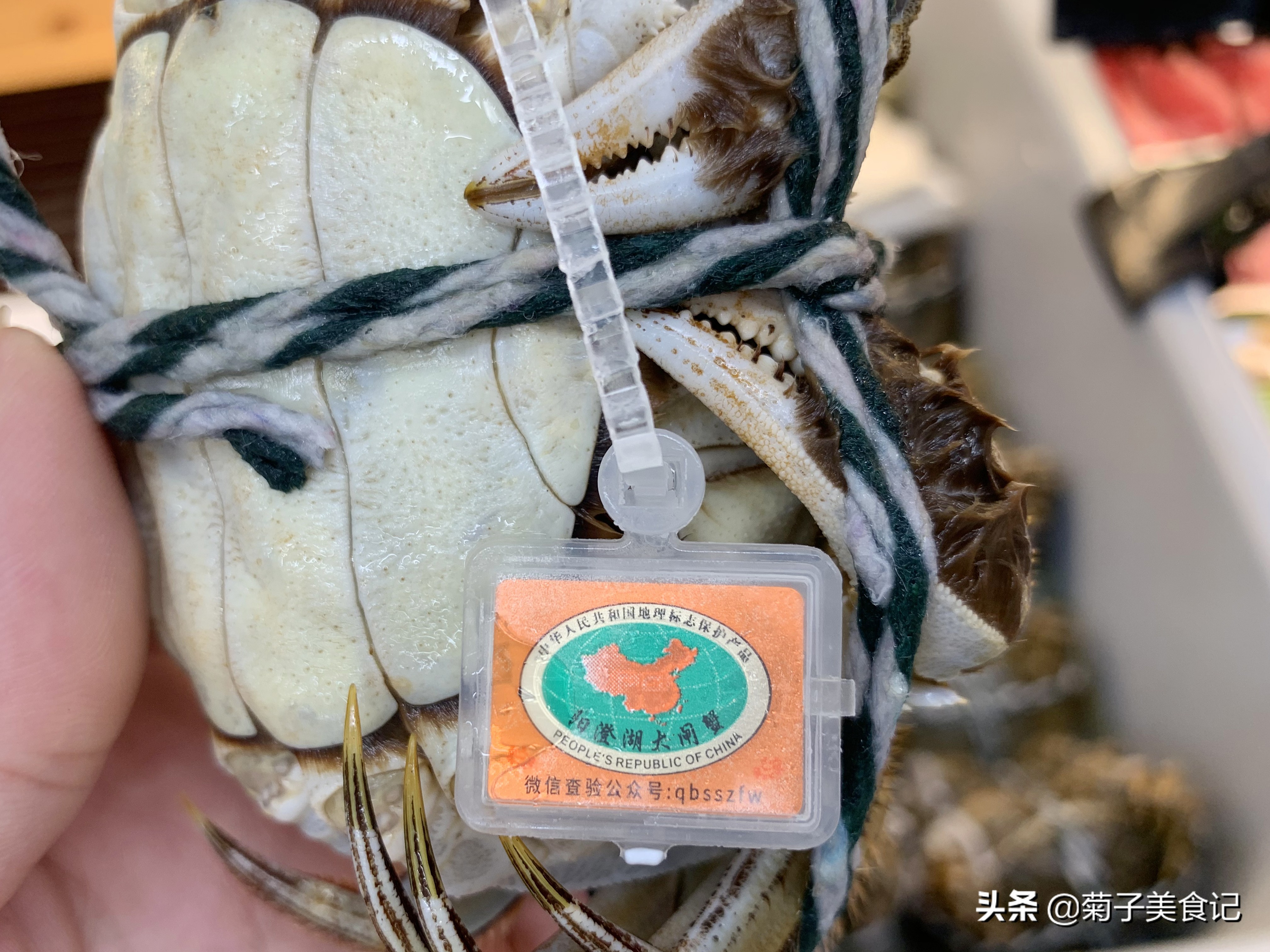 清蒸大闸蟹送蘸酱,大闸蟹做法清蒸酱汁