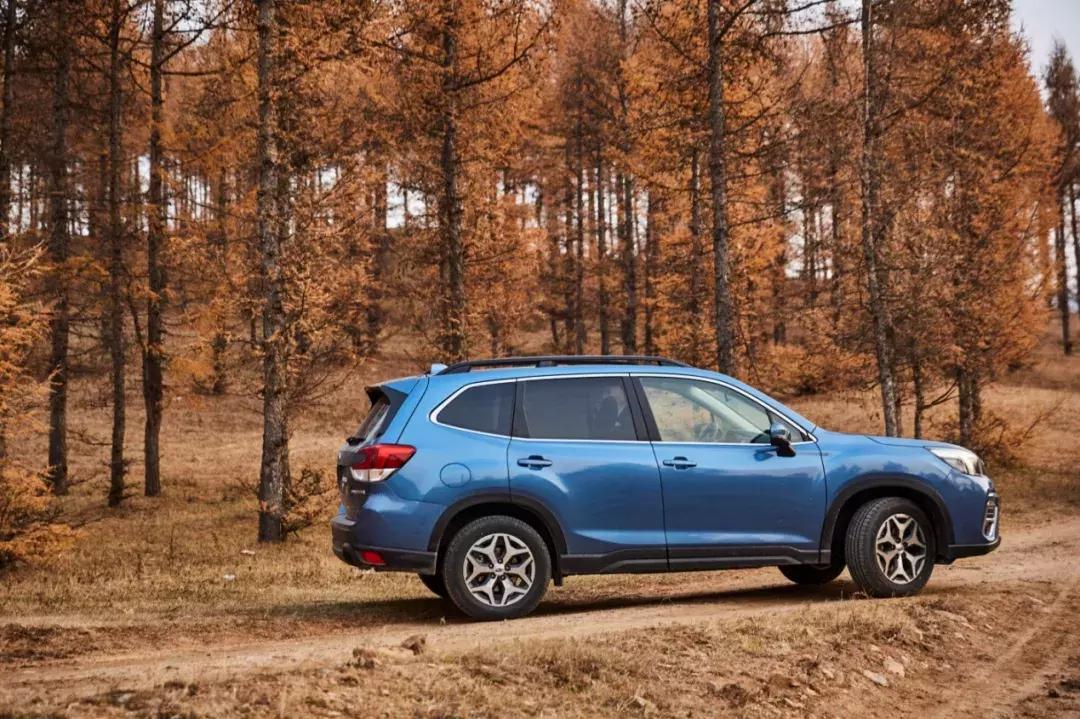 行者，步履不停｜收音师卢楠