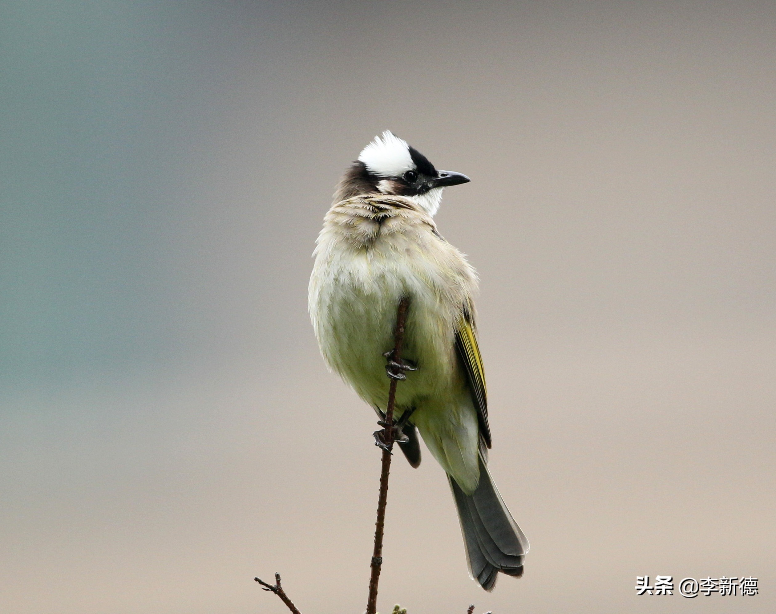 佳能相机5d3拍视频用哪个档位,佳能5d3适马2470