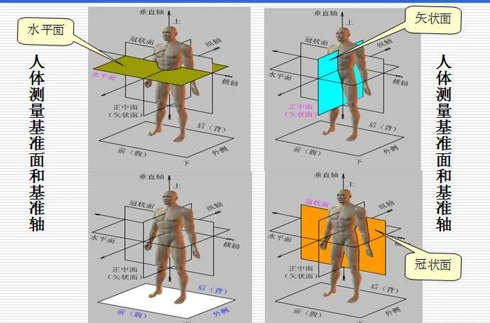 下巴怎么样才能越来越好看,怎么样才能让下巴变得好看