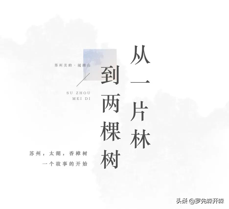 树之言木门,太湖度假区阅湖山价格