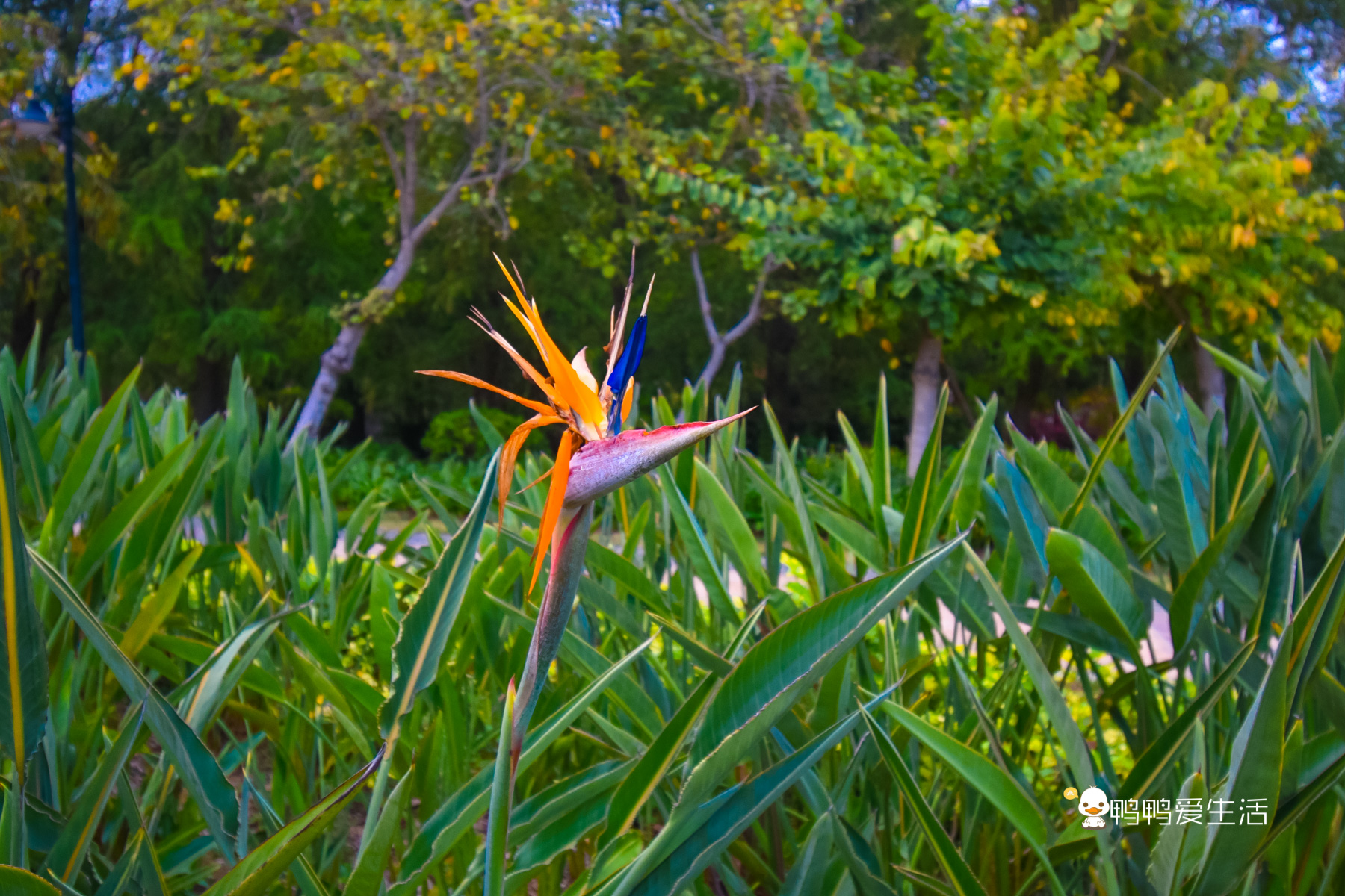 旅行厦门海悦山庄攻略,五一来厦门旅游