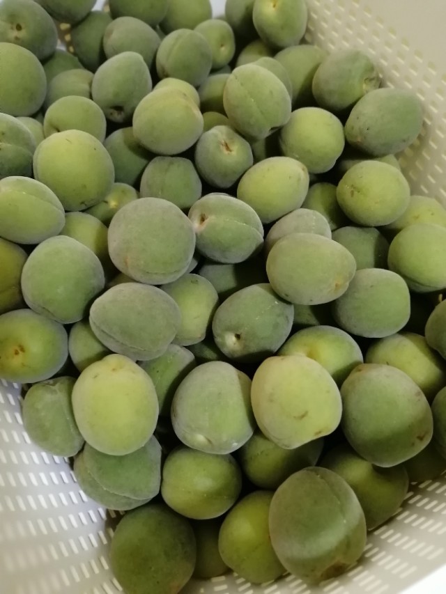 青梅酵素青梅露怎么泡法,青梅露的做法大全家常