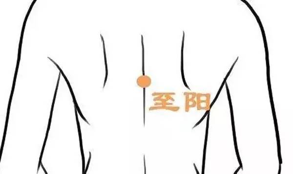 激活人体7个“生阳点”，等于给健康加油，能源源不断地产生.....