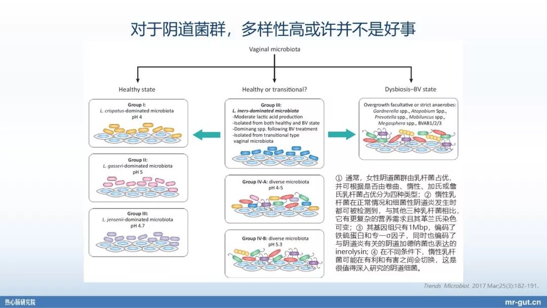 热心肠先生益生菌视频大全,热心肠先生全集