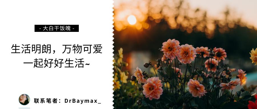 宜家鸡肋图鉴,宜家鸡肋的收纳单品