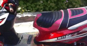 每日一笑看完你能不能忍住不笑,每日一笑看了让你笑