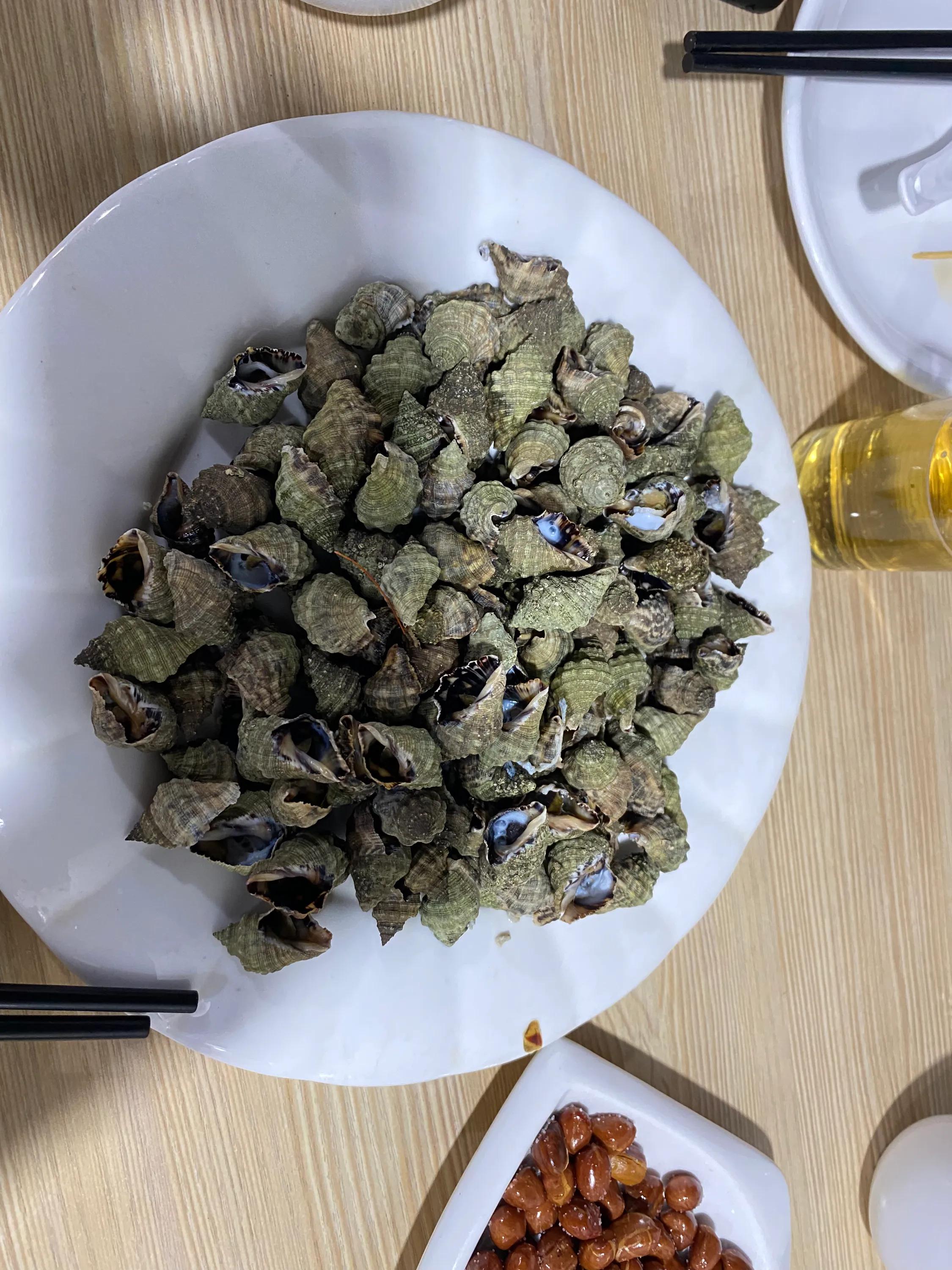 潍坊北海发现鬼头刀鱼是咋回事,潍坊北海鬼头刀