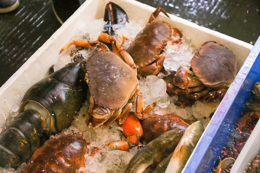 众彩物流公司年货,众彩物流年货大集