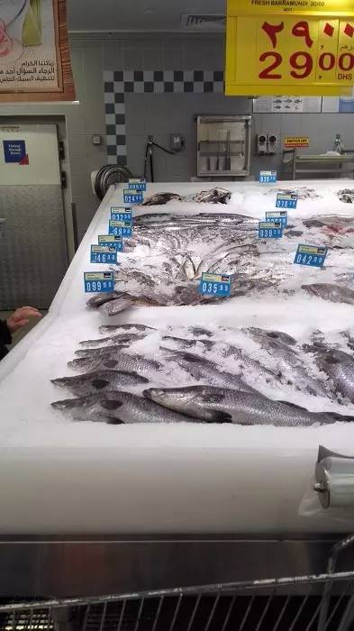 迪拜土豪中国旅游花多少钱,中国土豪vs迪拜土豪