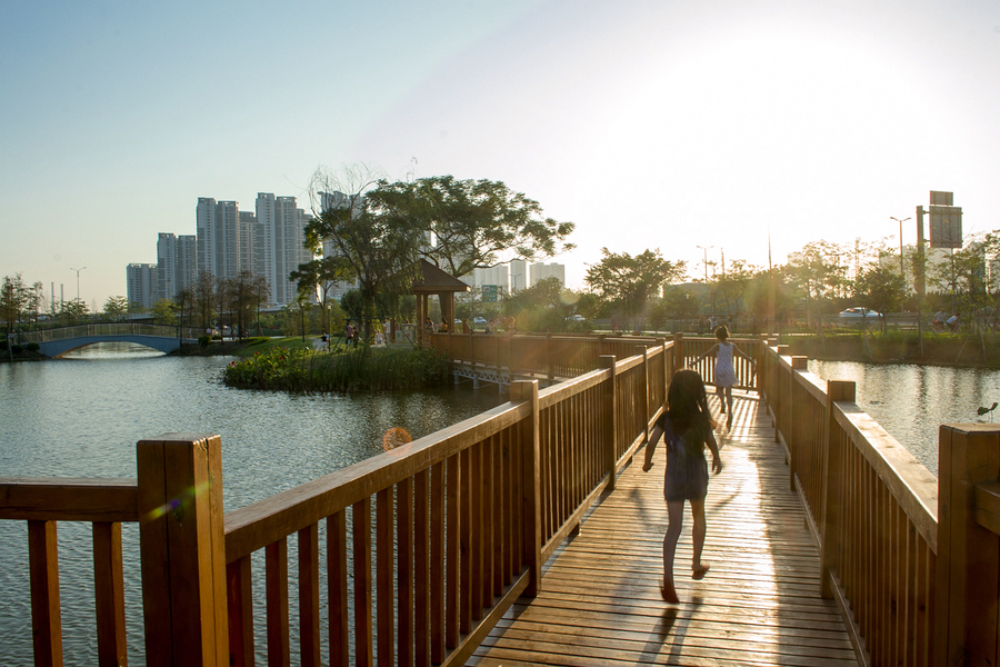 汕头赏花一日游最佳地,汕头最值得去的公园