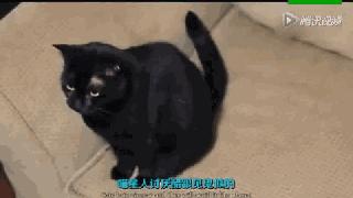 爽上天！宅在家你对这些“小绝招”地力量一无所知