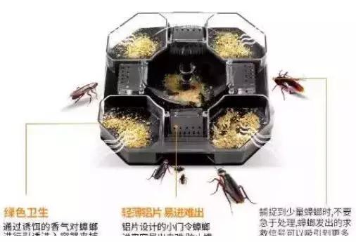 原来蟑螂最怕它,地上撒上少许,比蟑螂药好用