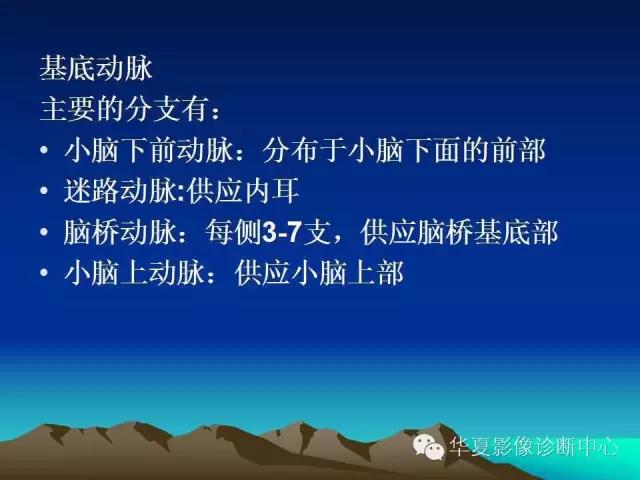 小脑血管解剖分段,脑血管影像解剖讲解