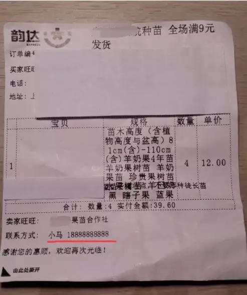 淘宝网店的宿迁神苗,宿迁神苗什么意思