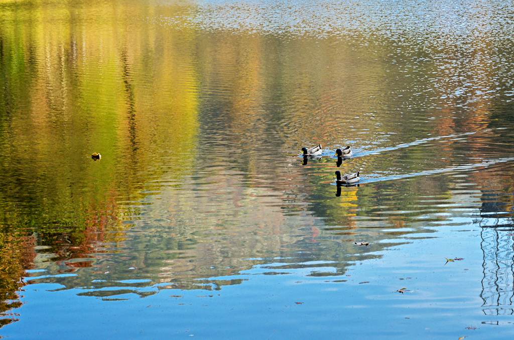 清凉寨美景,世界著名金秋山水风景油画