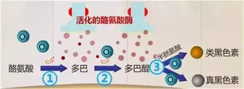 哪些护肤成分用了会脸黑,这些护肤行为可能会烂脸
