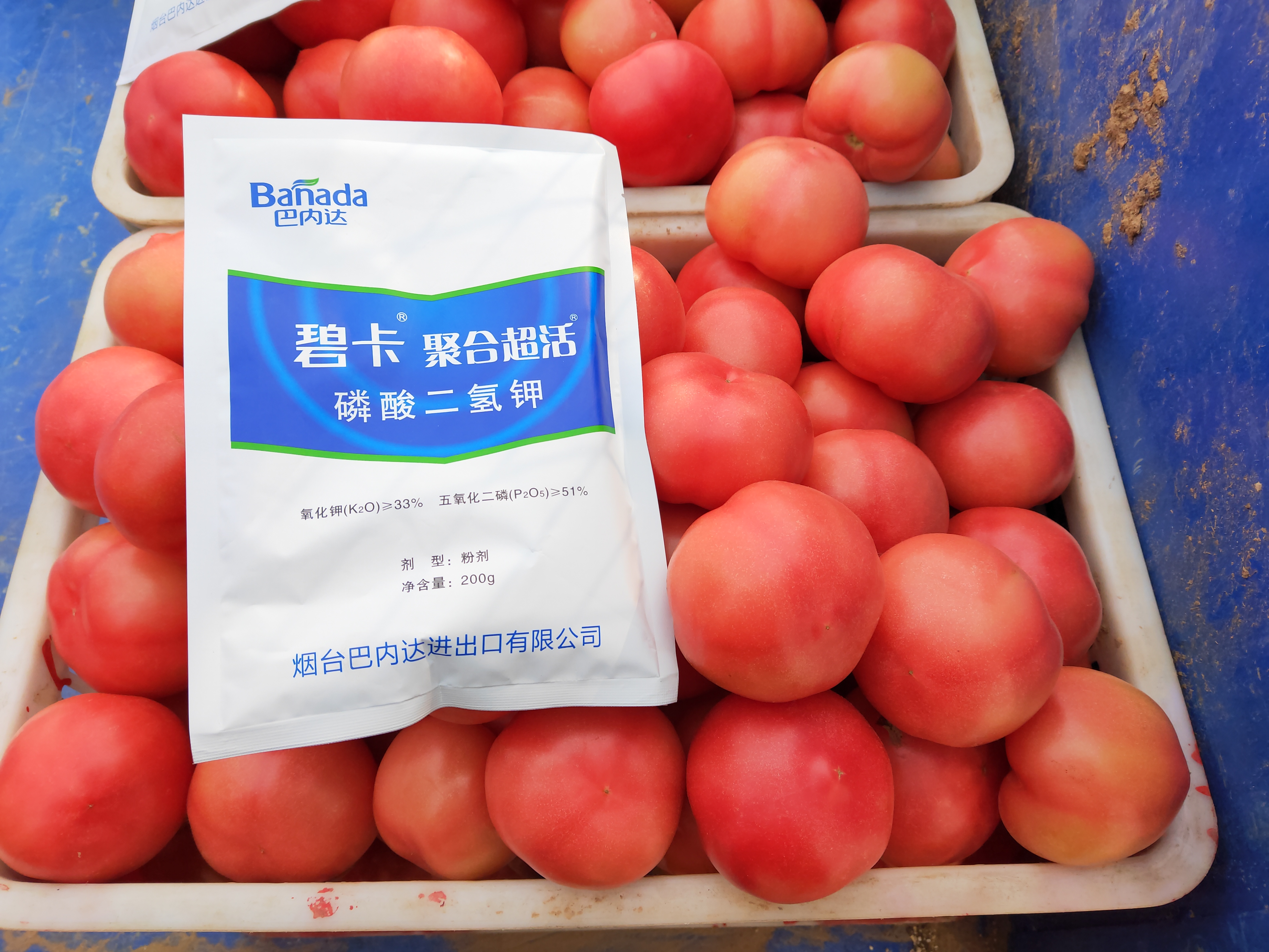 买到假货磷酸二氢钾怎样举报,磷酸二氢钾假货是肥效不够吗