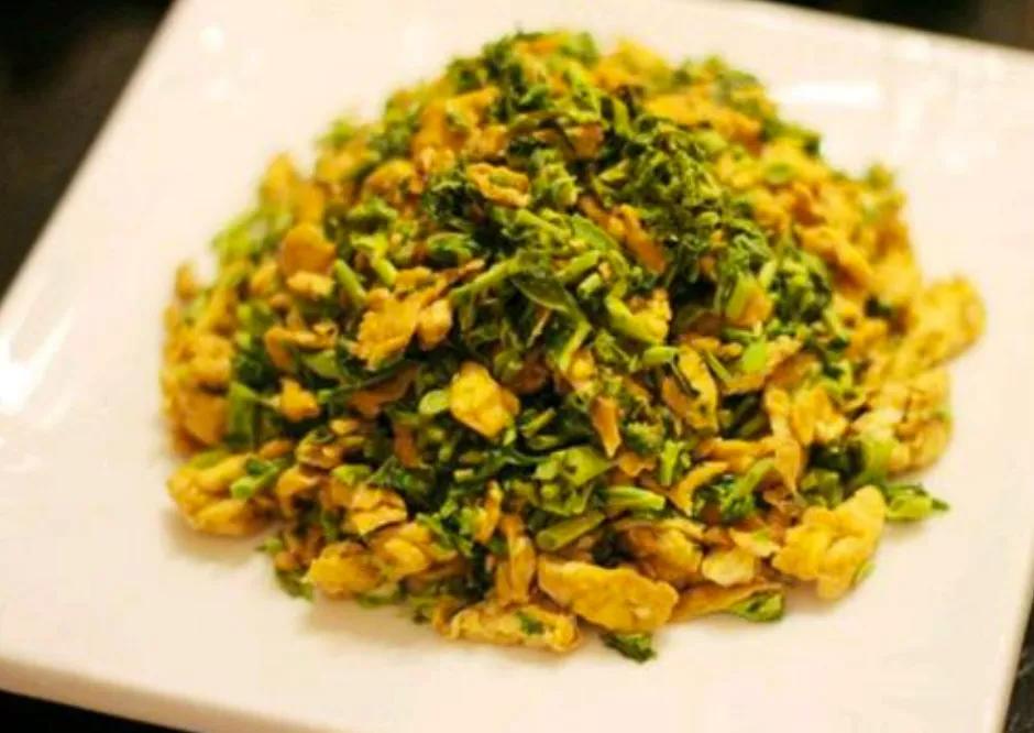 胡博士说中医,胡博士说中医的视频