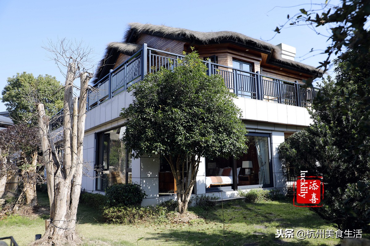 「杭州美食生活」径山淡竹元民宿，享受禅茶竹韵慢生活