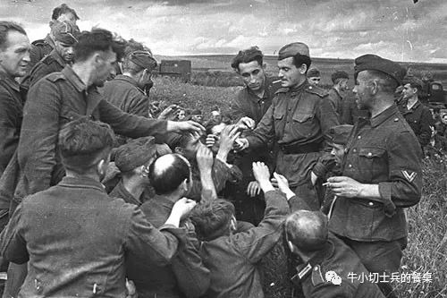 战场上的友谊视频,代表友谊的香烟