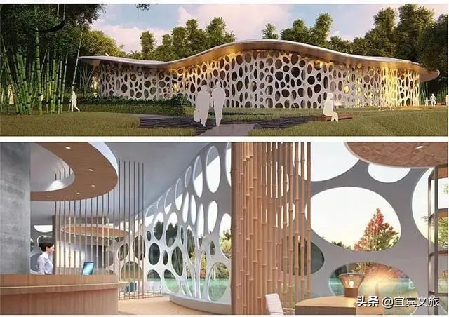 国内赏竹,中国人赏竹