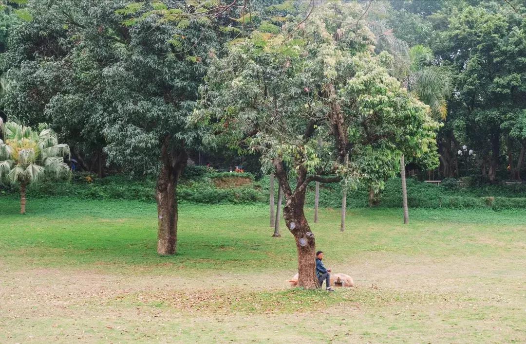 走进南头,这里是中山