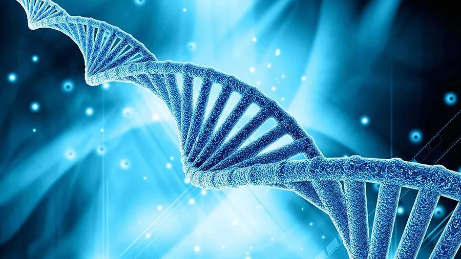 信念肖啸教授简历,信念肖啸